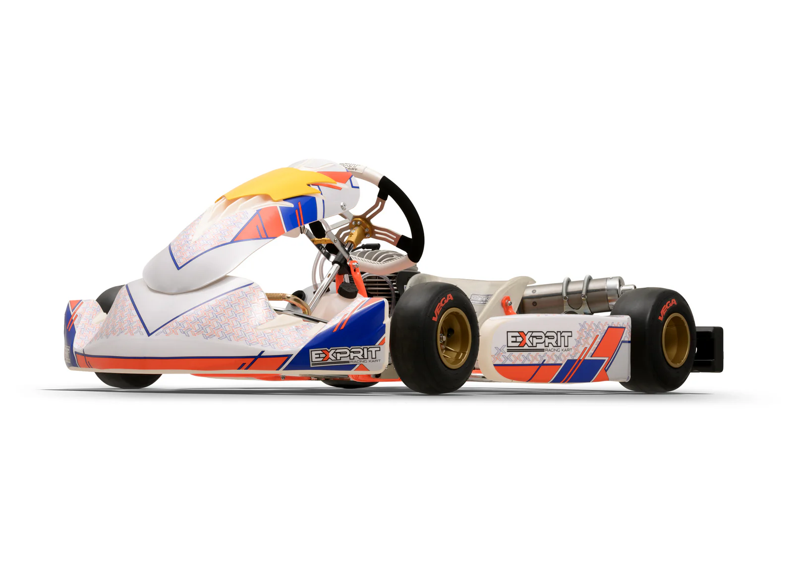 2025 Exprit Rookie EVM 950 Cadet - Image 3